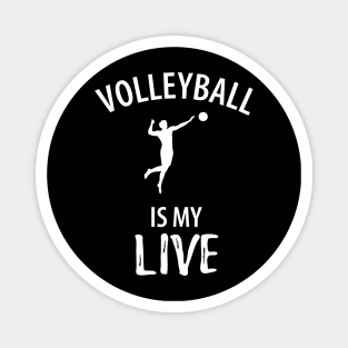 Volleyball Sport Team Play Gift Magnet